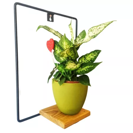 Kwietnik Ścienny Metalowy model Rectangle